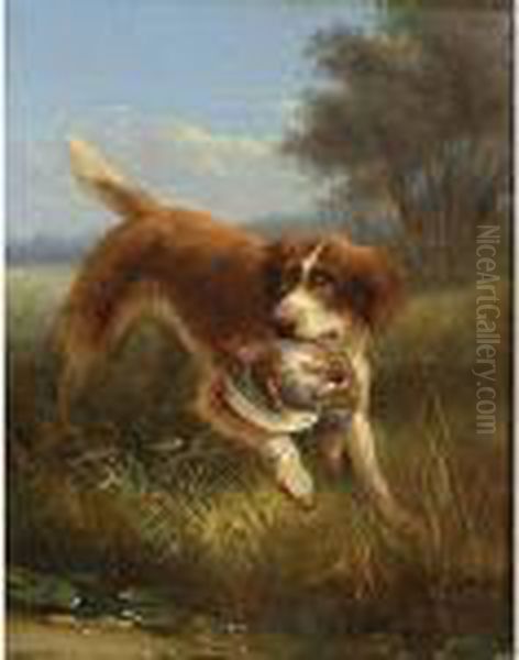 A Hunting Dog - view 1