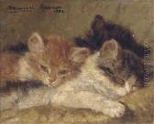 The Sleeping Kittens - view 1