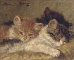 The Sleeping Kittens by Henriette Ronner-Knip