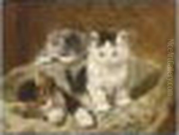 Three Playful Kittens - view 1
