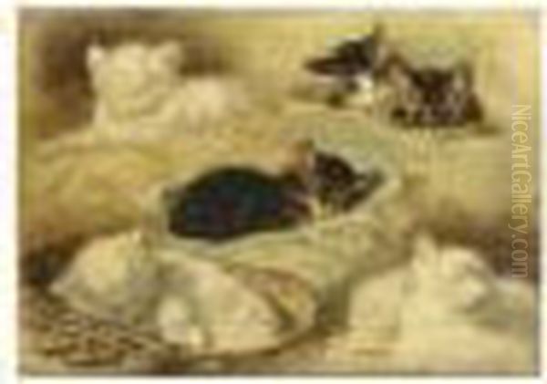 Kittens At Rest - view 1
