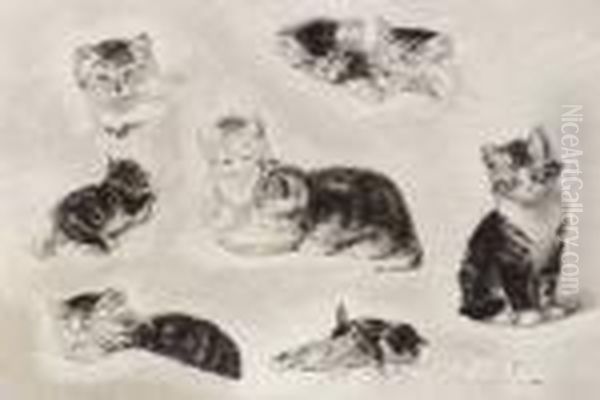 Cats Drinking - view 1