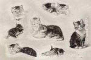 Cats Drinking