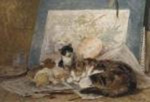 Asleep In The Artist's Studio by Henriette Ronner-Knip