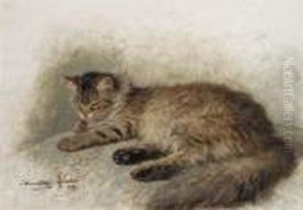 Angora Brun - view 1