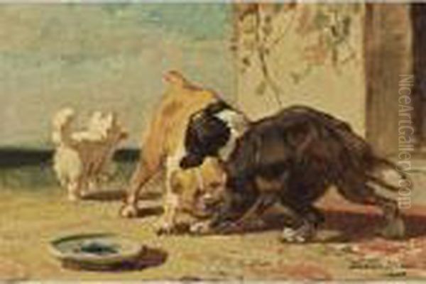 Dogs Playing On A Sunny Afternoon - view 1