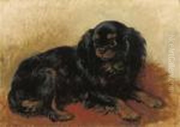 A Prince Charles Dog - view 1