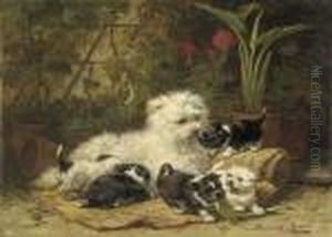 A Cairn Terrior And Her Puppies