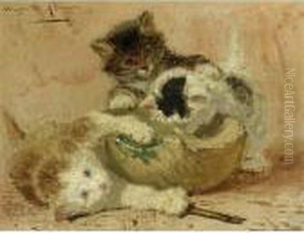 Playful Kittens - view 1