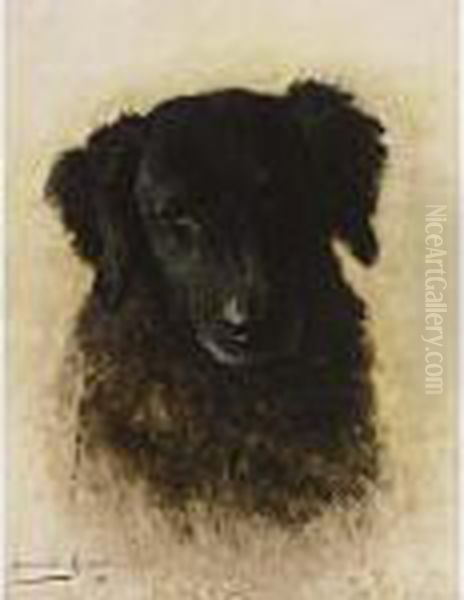 A Dog - view 1