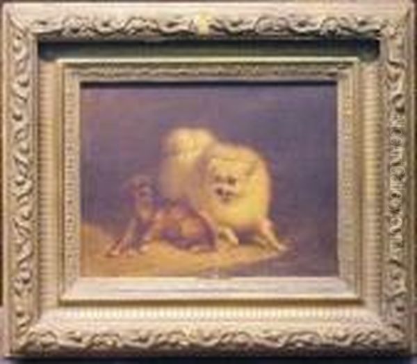 Playful Pets - view 1