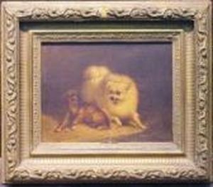 Playful Pets by Henriette Ronner-Knip
