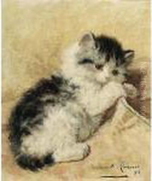 A Playful Kitten - view 1