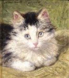 A Curious Kitten by Henriette Ronner-Knip