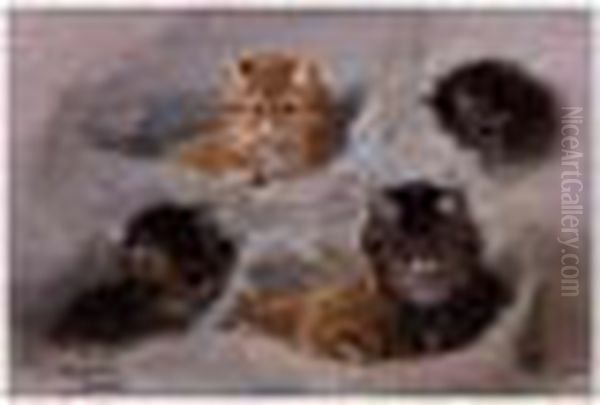 Five Kittens - view 1