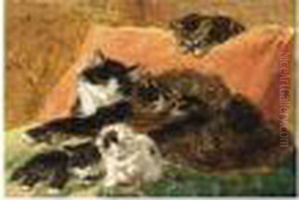 Playing Cats - view 1