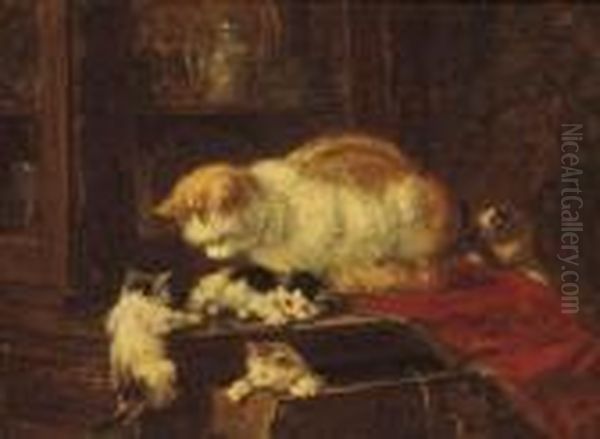 Cat And Kittens - view 1