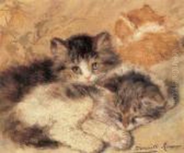 Kittens - view 1