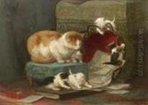 Playful Kittens - A Study