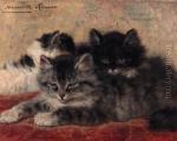 Kittens - view 1