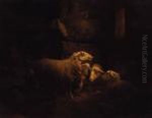 Sheep In A Stable Sheep In A Stable