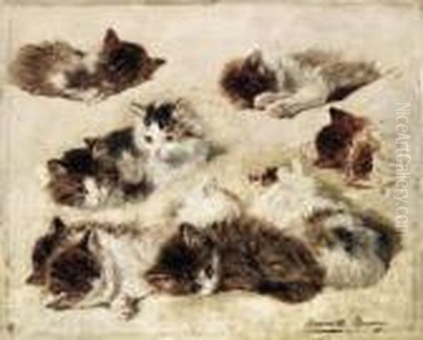 Study Of Kittens - view 1
