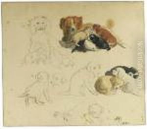 Studies Of Puppies With A Dog by Henriette Ronner-Knip