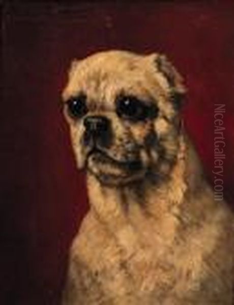 Portrait Of A Pug-dog - view 1