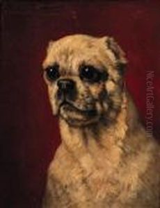 Portrait Of A Pug-dog by Henriette Ronner-Knip