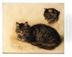 A Tabby Cat - A Study