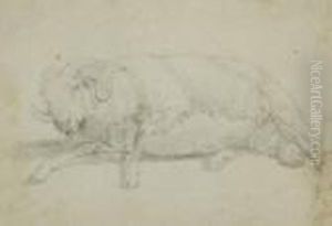Roos Sheep Drawing by Johan Heinrich Roos