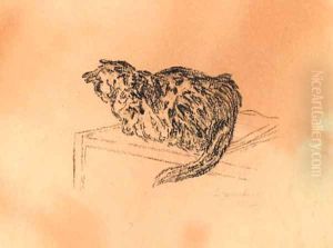 Cat Cat