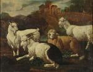 Moutons Et Chevres by Philipp Peter Roos