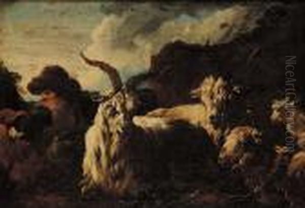 Pastorello Con Armenti - view 1