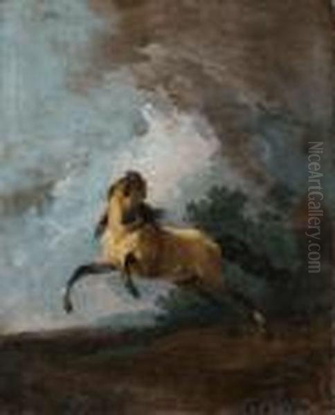 Cheval Effraye Par L'orage - view 1