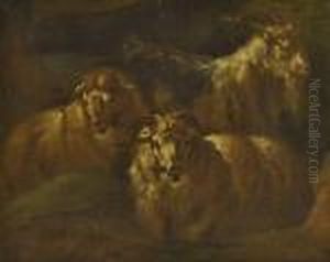 Ziegen Und Schaf by Philipp Peter Roos