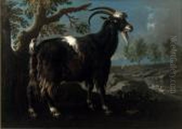 A Mountain Goat In A Landscape - view 1