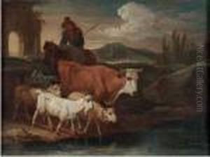 A) E B) Gruppo Di Animali A) E B) Gruppo Di Animali