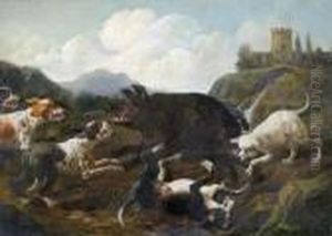 Caccia Al Cinghiale