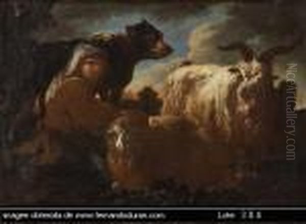Untitled - view 1