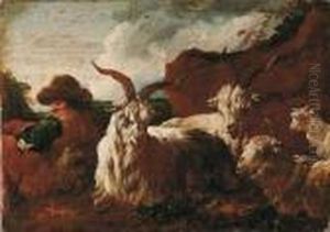 Pastore Con Capre by Philipp Peter Roos