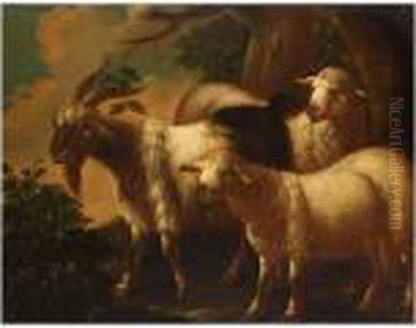 Sheep In A Wooded Landscape - view 1