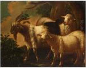 Sheep In A Wooded Landscape Sheep In A Wooded Landscape