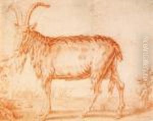 Stenbock