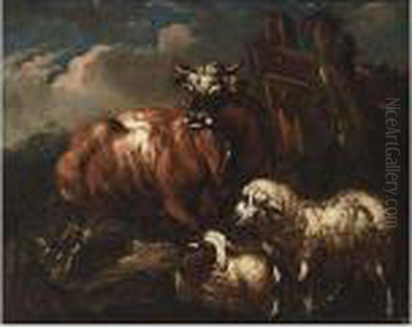 A Cow And Sheep In A Meadow - view 1