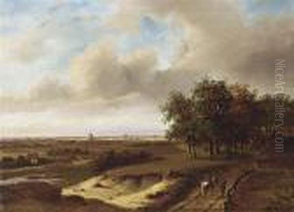 Landscape - view 1