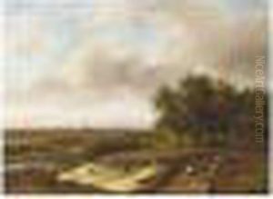 An Extensive Summer Landscape