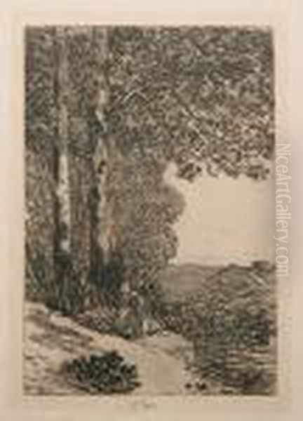 'la Bucheronne' - view 1