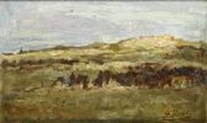 Vue Sur Les Dunes