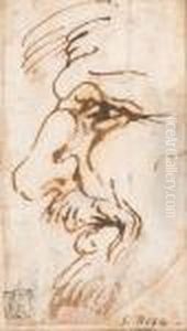 Studio Di Volto Grottesco by Salvator Rosa